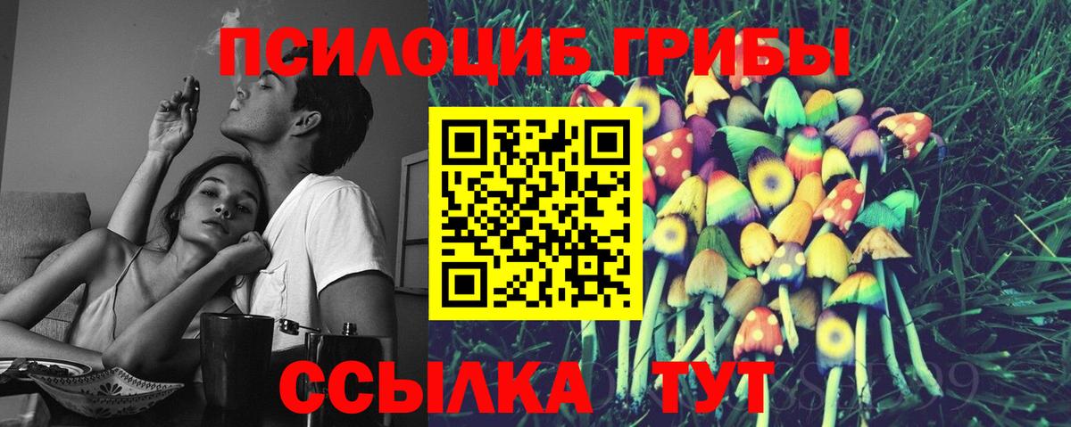 Псилоцибиновые грибы Cubensis  Вход с VPN  Ярославль 
