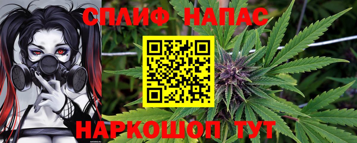 Каннабис индика Ярославль